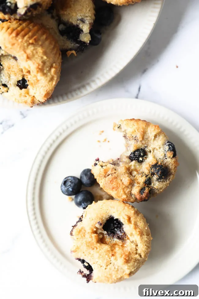 Vertical overhead image of a small plate holding two golden-brown gluten-free blueberry muffins. One muffin has a bite taken out, revealing its soft, blueberry-studded interior.