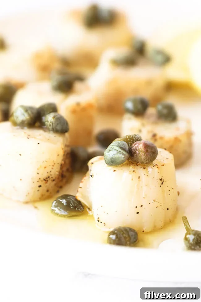Extreme close up shot of scallops on a plate with lemon butter sauce and capers on top