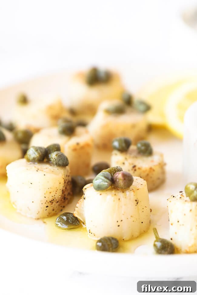 Straight on close up shot of cooked scallops with caper butter sauce