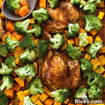 Overhead shot of one pan baked chicken and broccoli with squash pieces and a spoon in the pan, ready to be served.