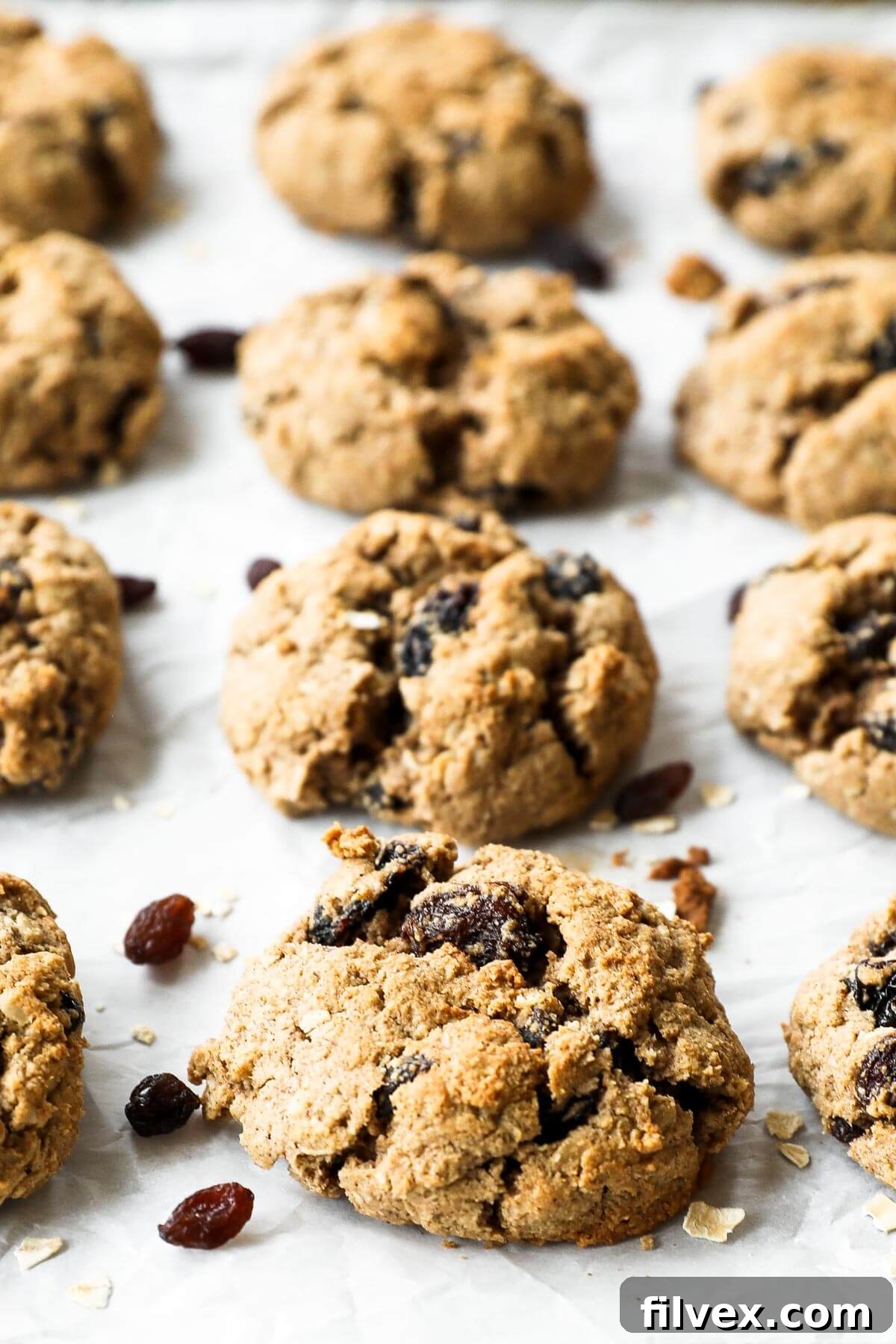Angled image of vegan, healthy oatmeal raisin cookies on baking sheet. Front and center is a close up of one cookie with several others blurred out in the background.