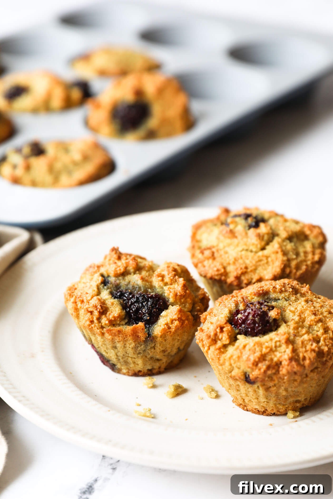 Three blackberry muffins on a plate with the muffin pan in the background.