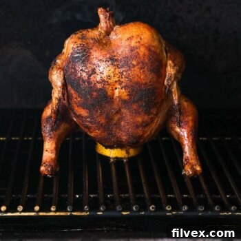 Beer can chicken on a traeger grill fully roasted, golden brown and ready to serve.