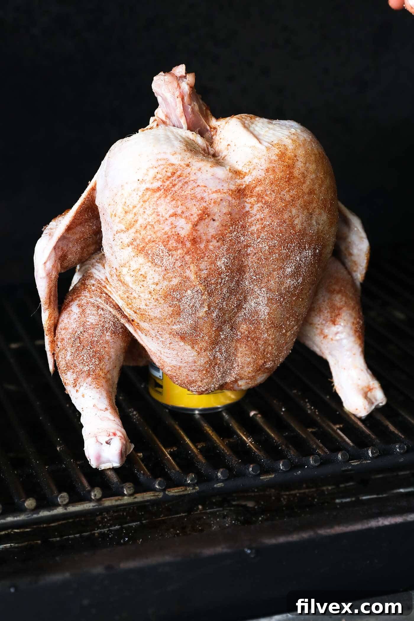 Beer can chicken standing upright on a grill grate, balanced by its legs.