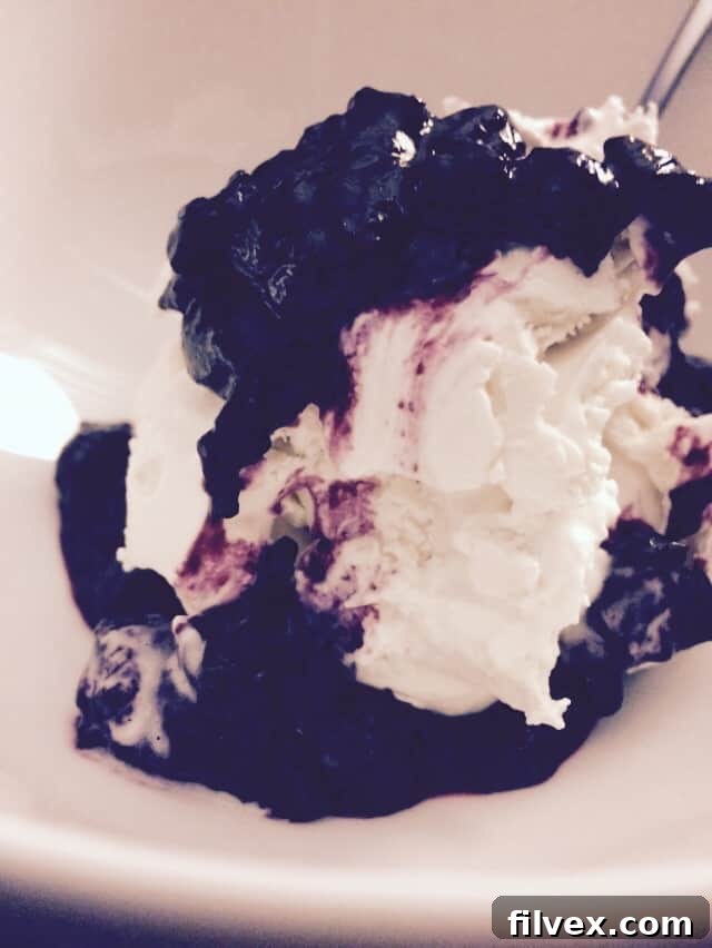 Creamy Paleo Vanilla Ice Cream with Fresh Blueberry Sauce