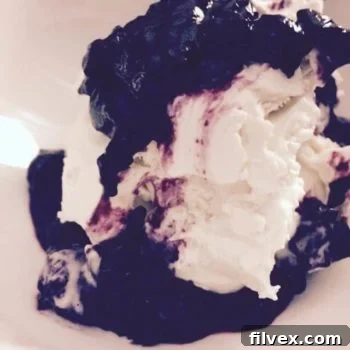 Paleo Vanilla Ice Cream with Blueberry Sauce