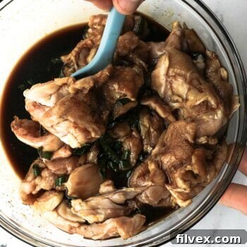 A bowl of chicken coated in homemade teriyaki marinade, ready to be cooked and enjoyed.