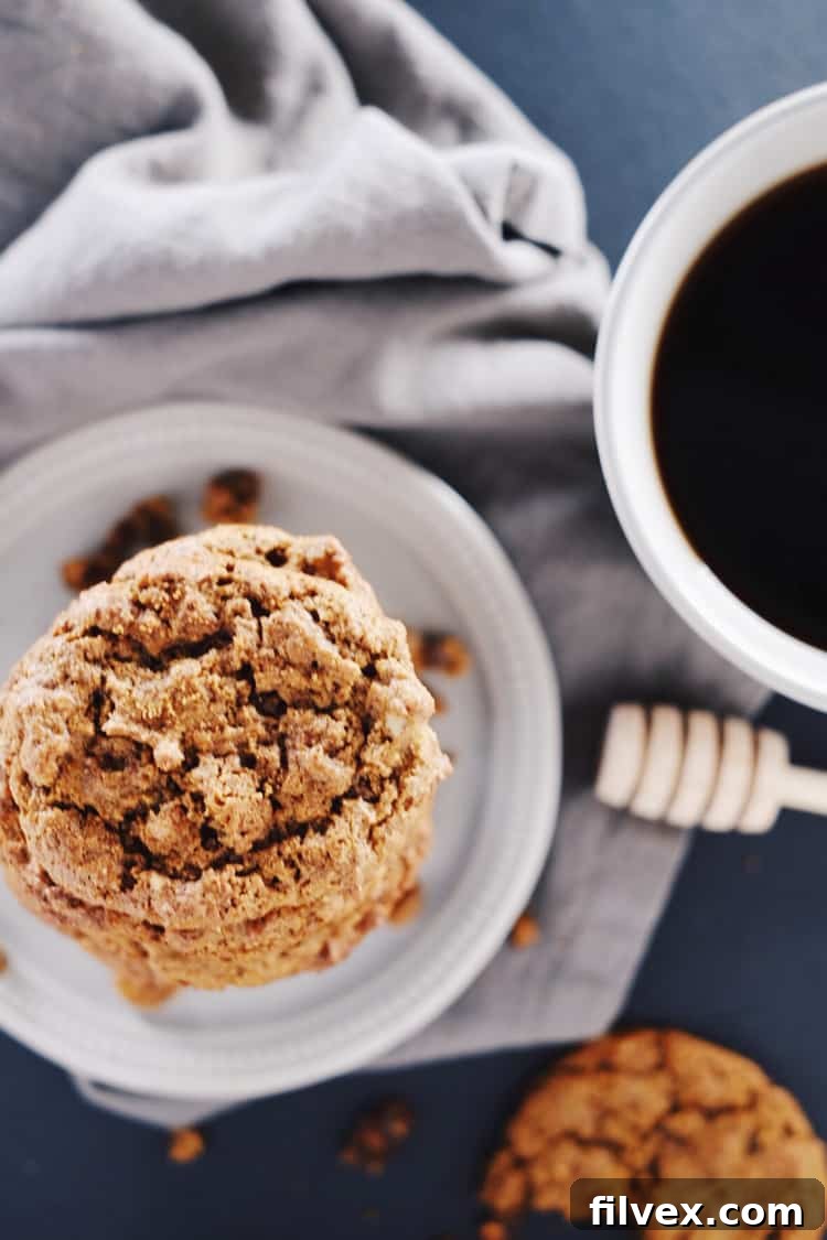 The joy of baking these Paleo pumpkin snickerdoodles is in their ease and the delicious, chewy results, perfect for a gluten-free, dairy-free, egg-free, and refined sugar-free lifestyle.