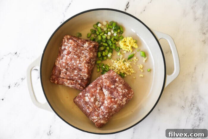 Ground pork, chopped green onions, garlic and ginger in a skillet