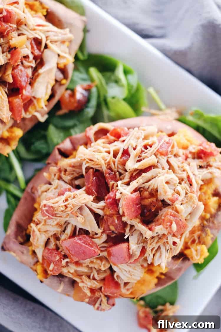 The finished Crockpot Maple Chipotle Chicken Stuffed Sweet Potatoes, served on a bed of fresh greens. A perfect example of easy, healthy, and flavorful comfort food for any cold evening. Paleo + Gluten-Free dinner idea.