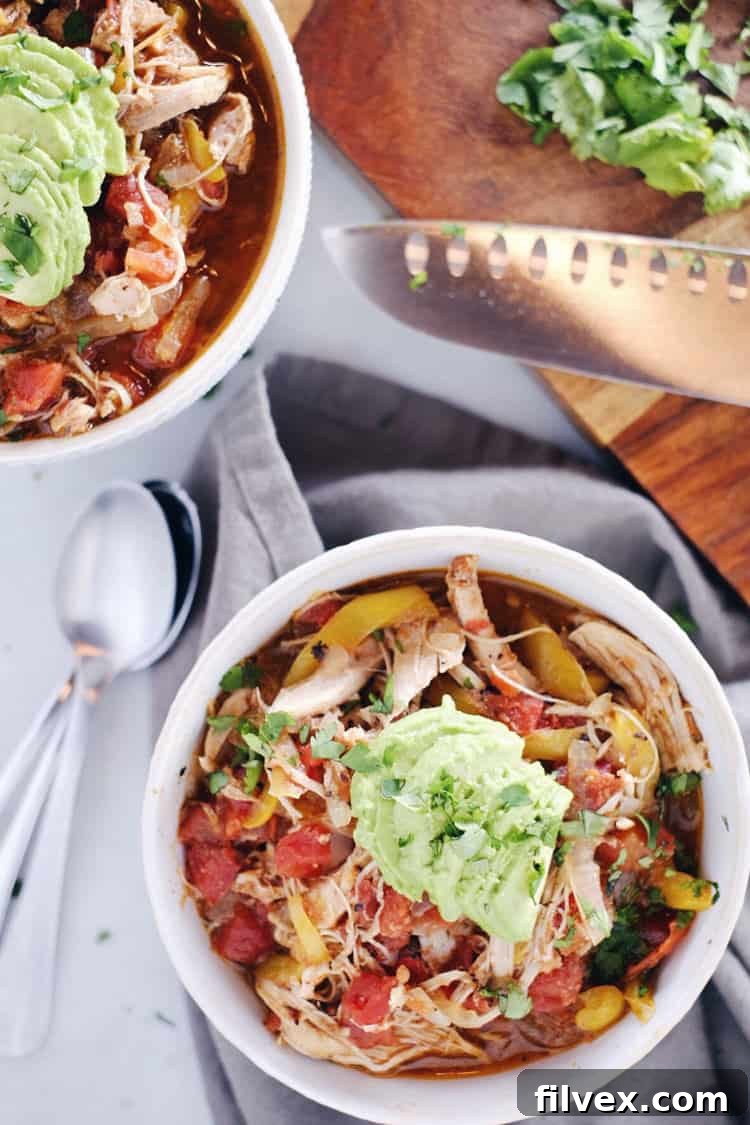 Crockpot Chicken Enchilada Soup overhead two bowls.
