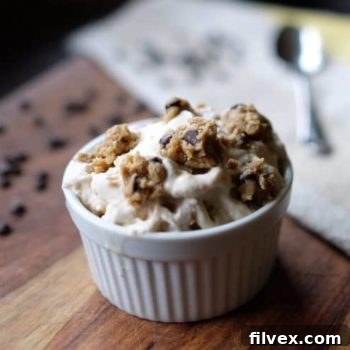 Paleo Chocolate Chip Cookie Dough Ice Cream